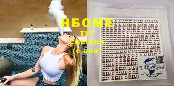 ГАЛЛЮЦИНОГЕННЫЕ ГРИБЫ Бородино