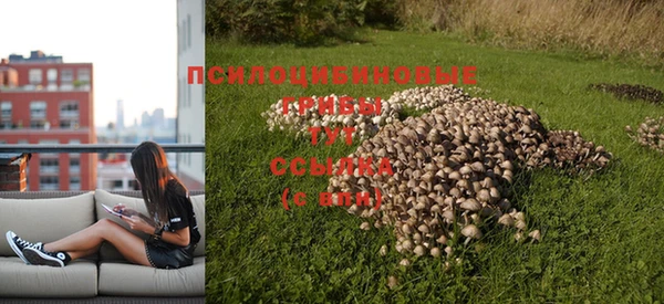 гашик Богданович