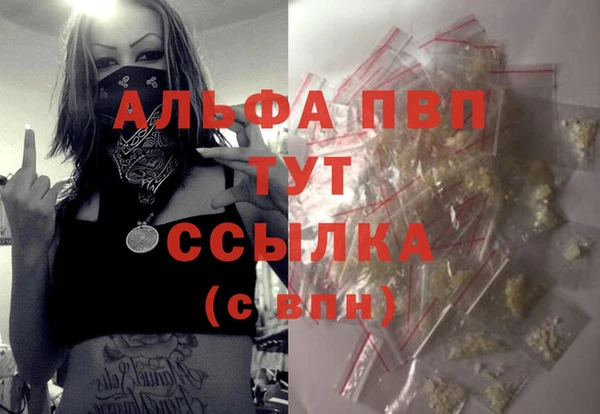 ГАЛЛЮЦИНОГЕННЫЕ ГРИБЫ Бородино