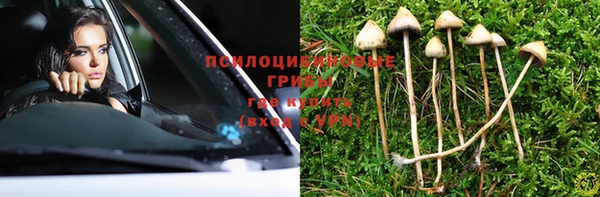 ГАЛЛЮЦИНОГЕННЫЕ ГРИБЫ Бородино