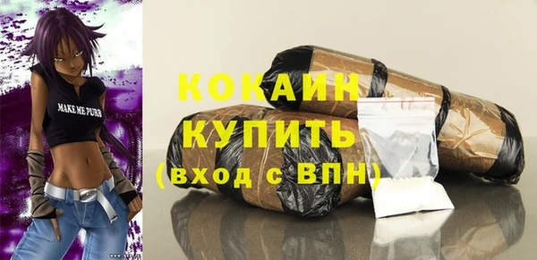 ГАЛЛЮЦИНОГЕННЫЕ ГРИБЫ Бородино