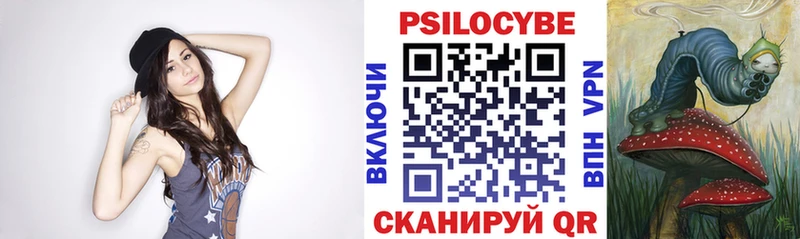 Галлюциногенные грибы Cubensis  Купить закладки  Междуреченск 